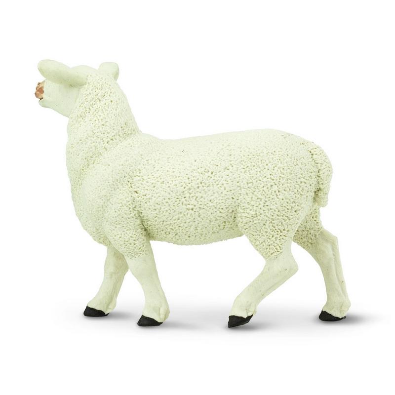 Safari Ltd Ewe