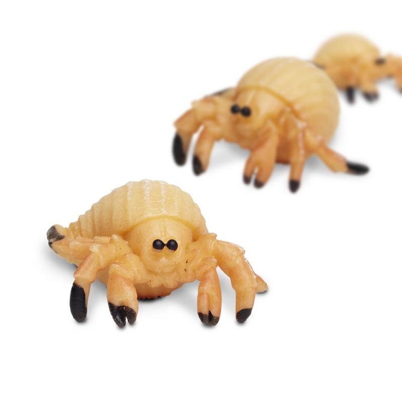 Safari Ltd Hermit Crabs Good Luck Minis