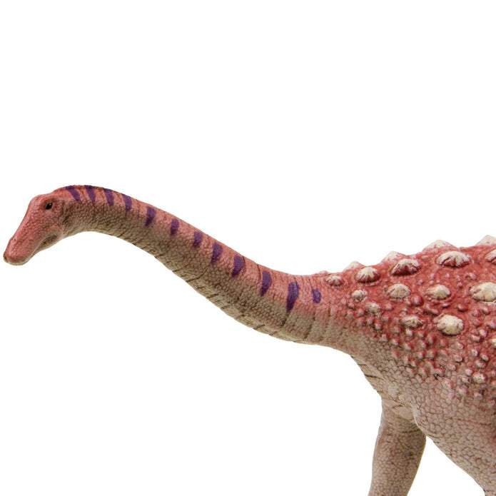 Safari Ltd Saltasaurus