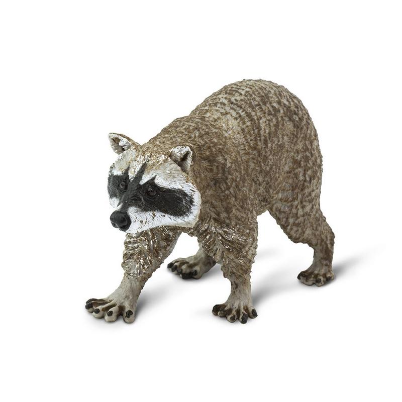 Safari Ltd Raccoon