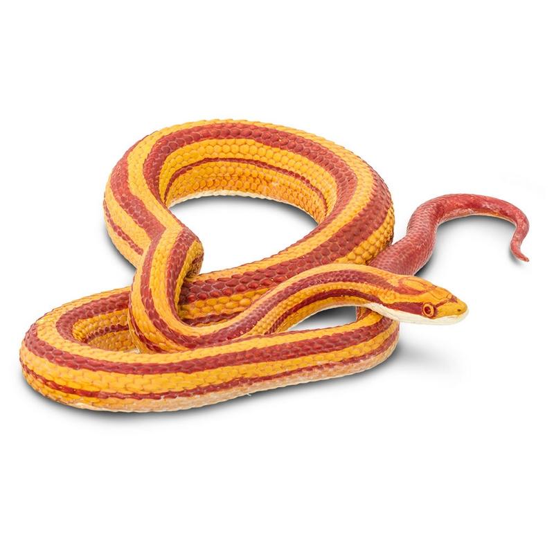 Safari Ltd Corn Snake