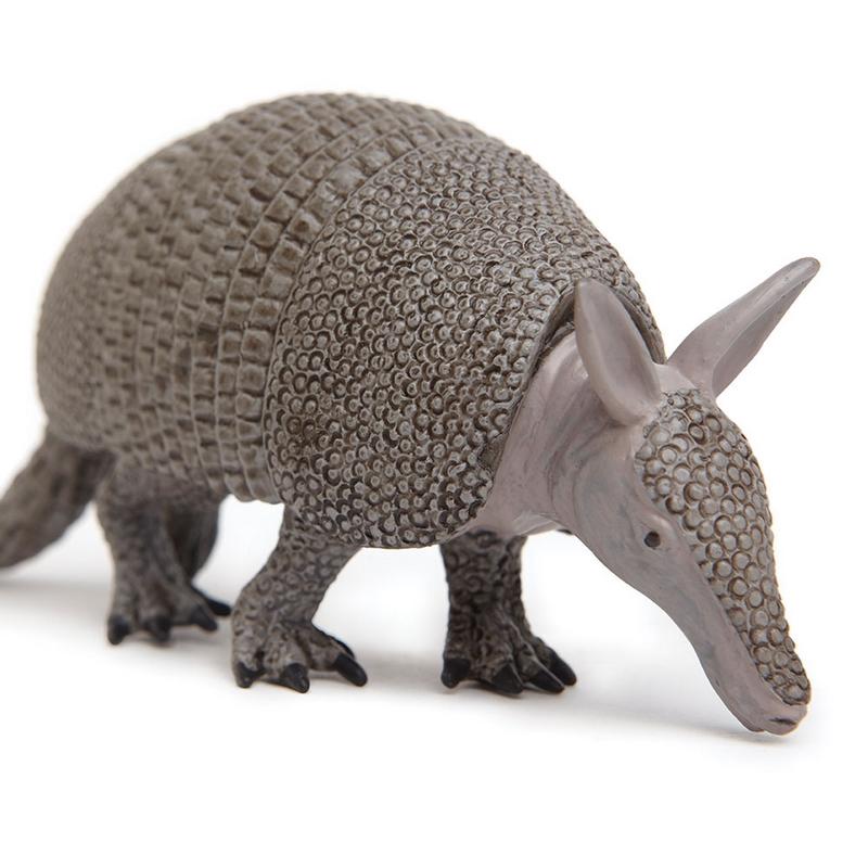 Safari Ltd Armadillo