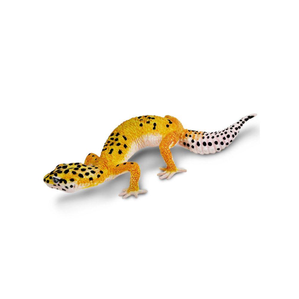 Safari Ltd Leopard Gecko