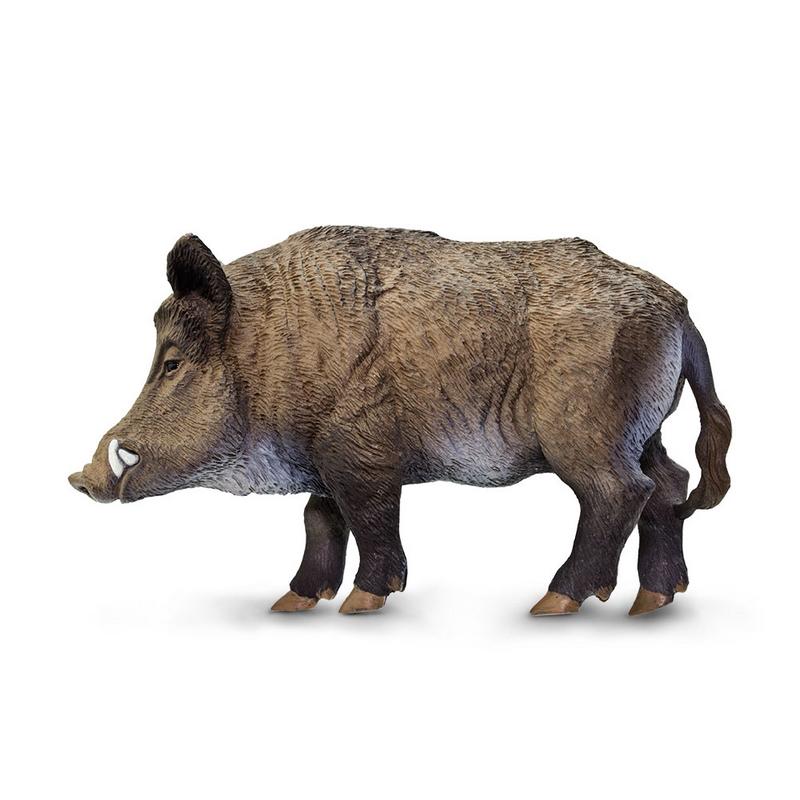 Safari Ltd Boar