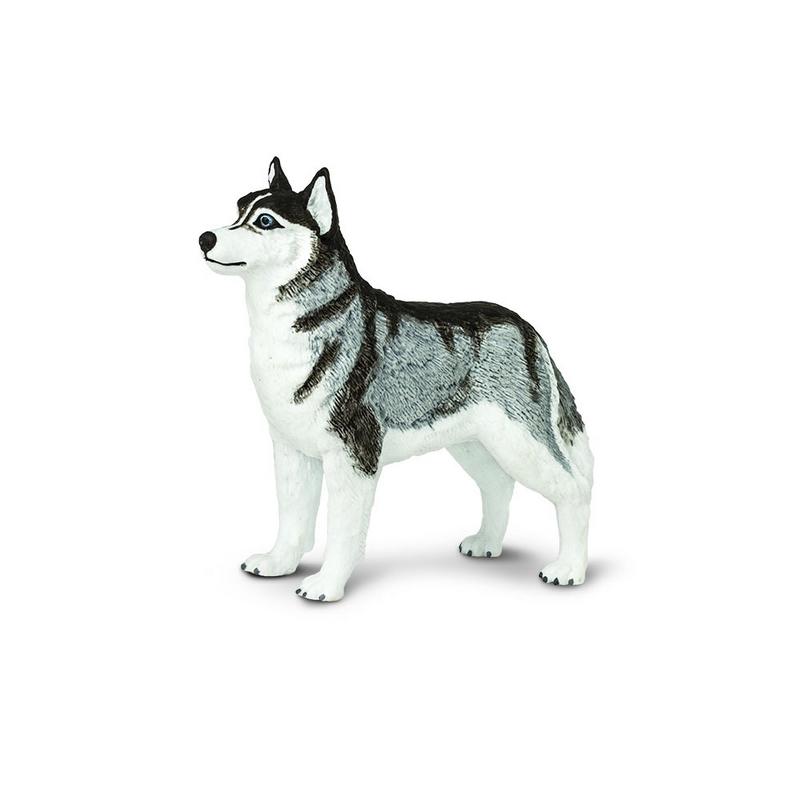 Safari Ltd Siberian Husky