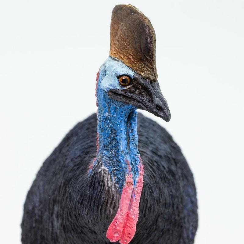 Safari Ltd Cassowary