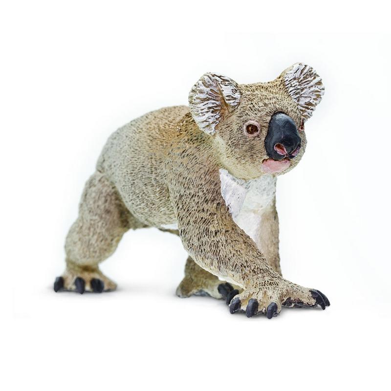 Safari Ltd Koala