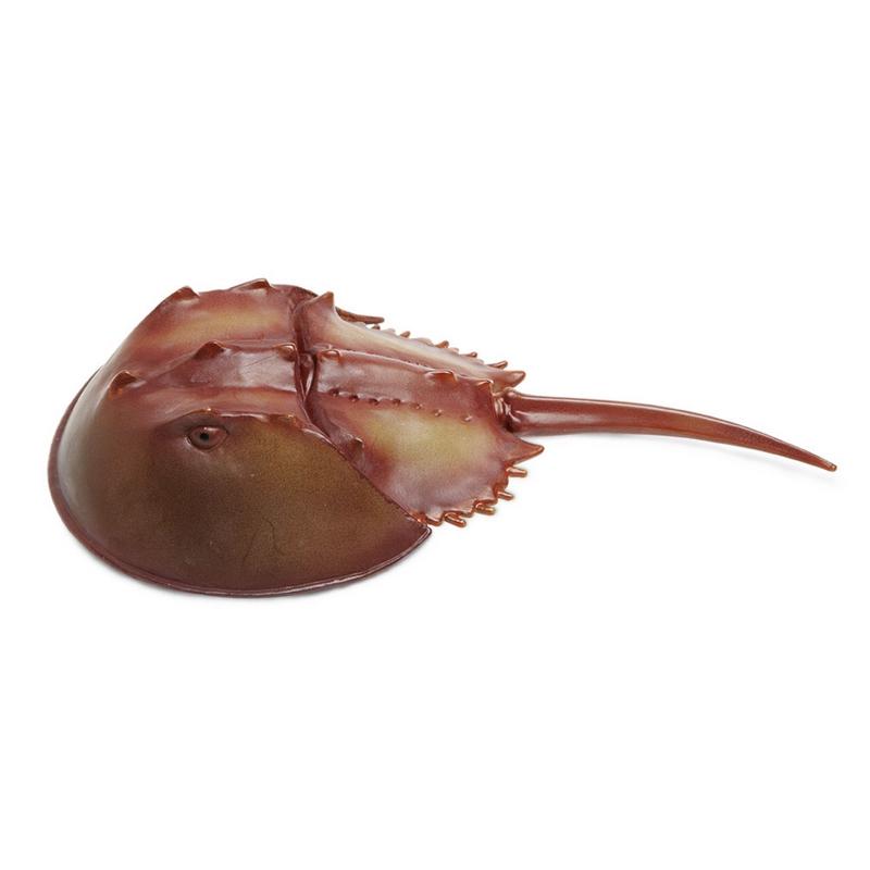 Safari Ltd Horseshoe Crab