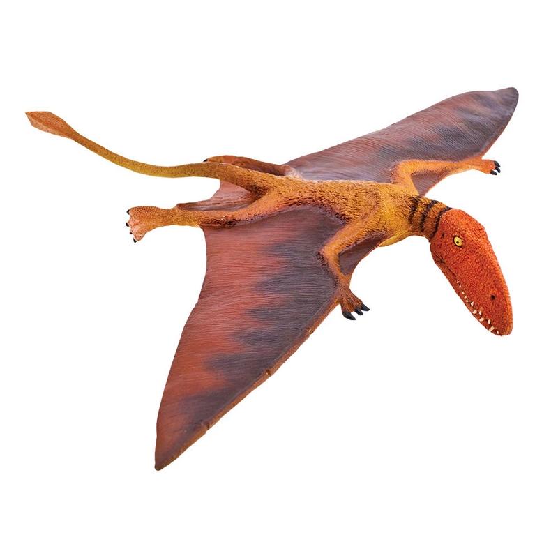 Safari Ltd Dimorphodon