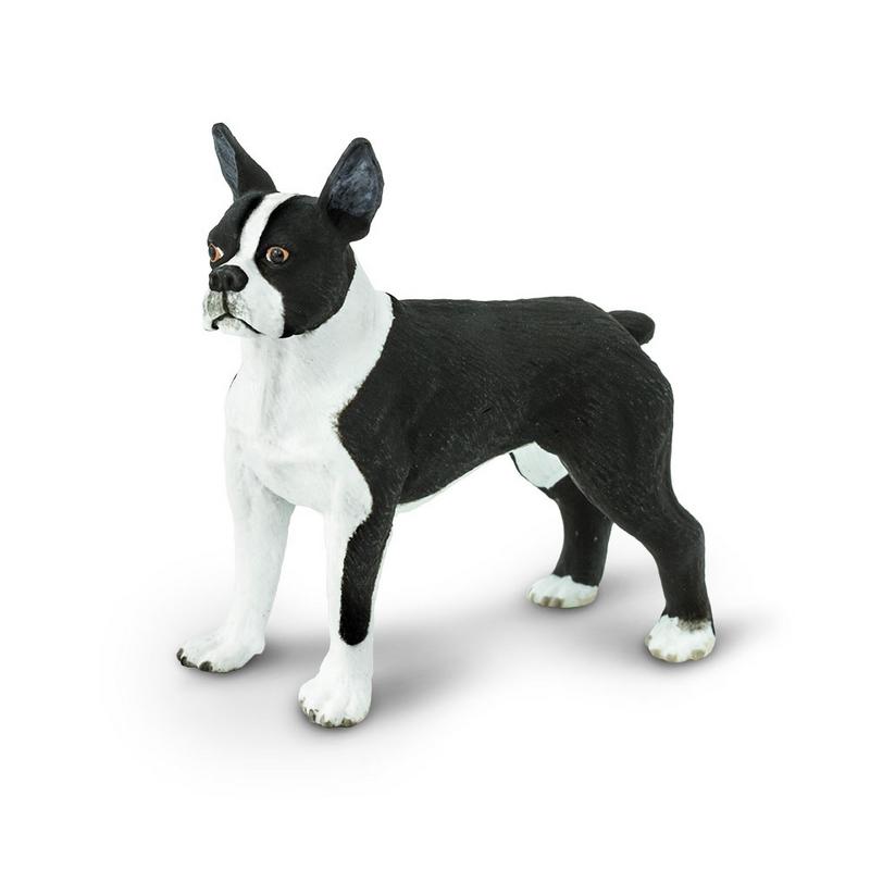 Safari Ltd Boston Terrier