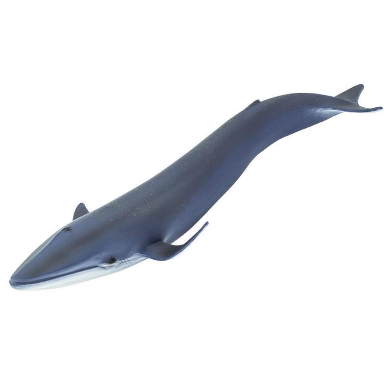 Safari Ltd Blue Whale