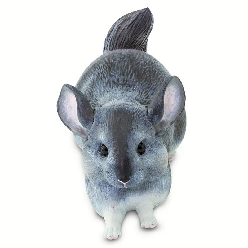 Safari Ltd Chinchilla