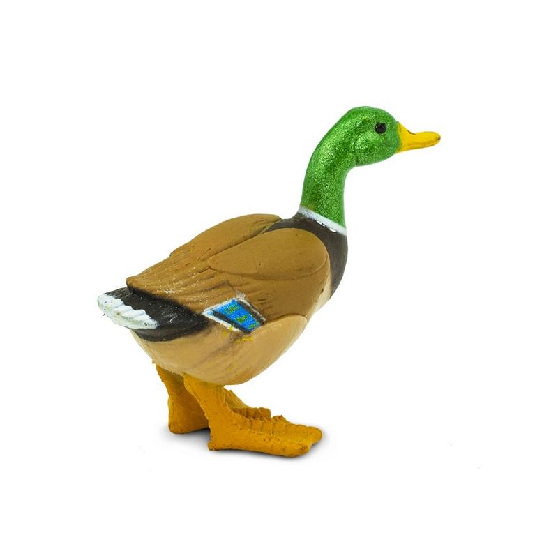 Safari Ltd Duck