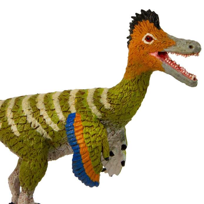 Safari Ltd Austroraptor