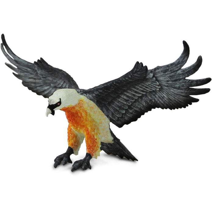 Safari Ltd Bearded Vulture