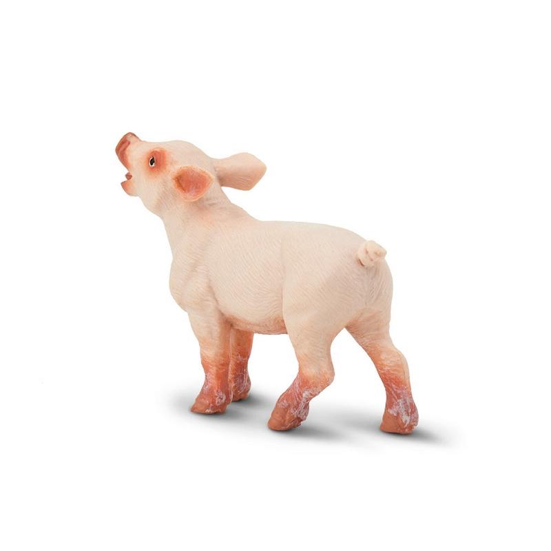 Safari Ltd Piglet