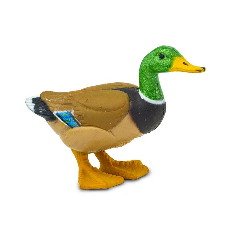 Safari Ltd Duck