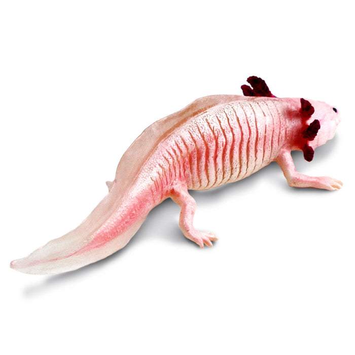 Safari Ltd Axolotl Toy Figure