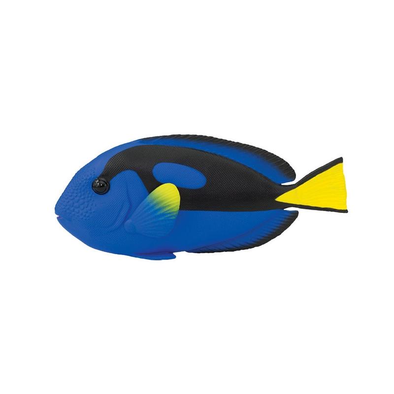 Safari Ltd Blue Tang