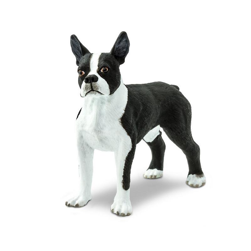 Safari Ltd Boston Terrier