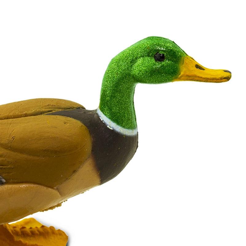 Safari Ltd Duck