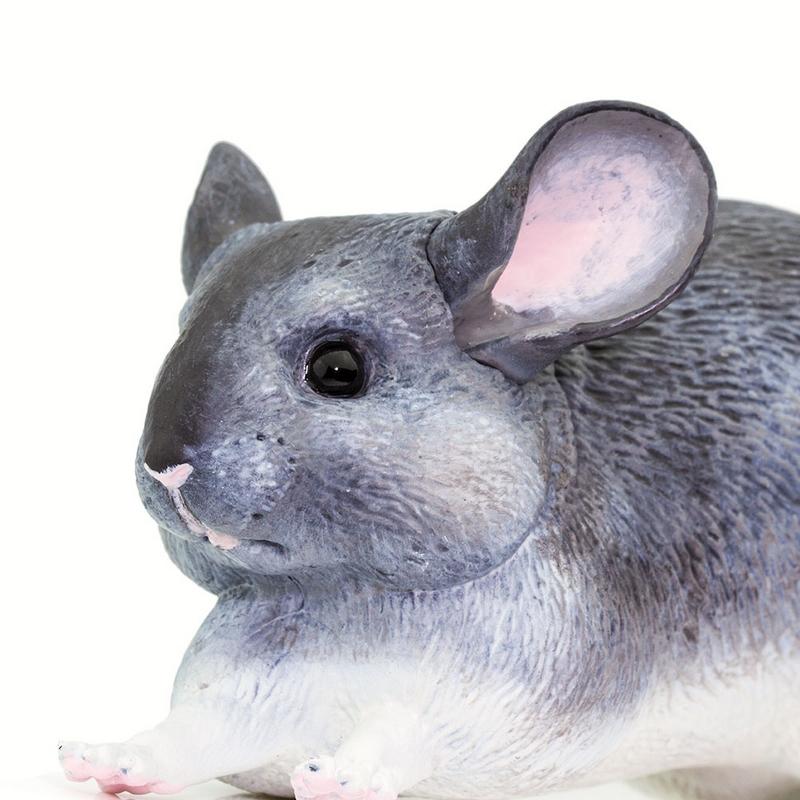 Safari Ltd Chinchilla