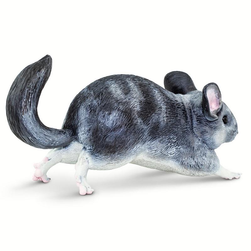 Safari Ltd Chinchilla