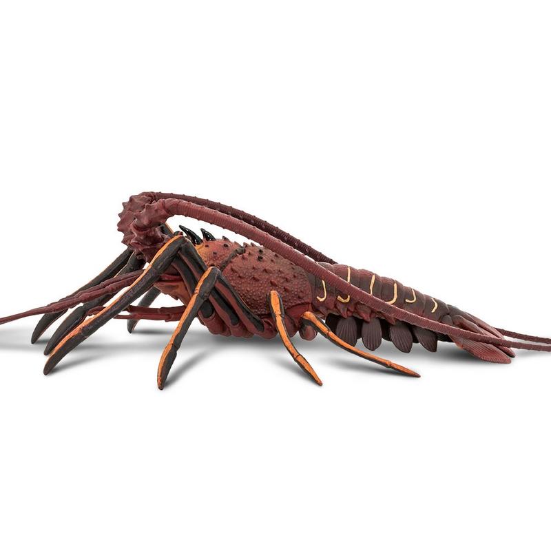 Safari Ltd Spiny Lobster