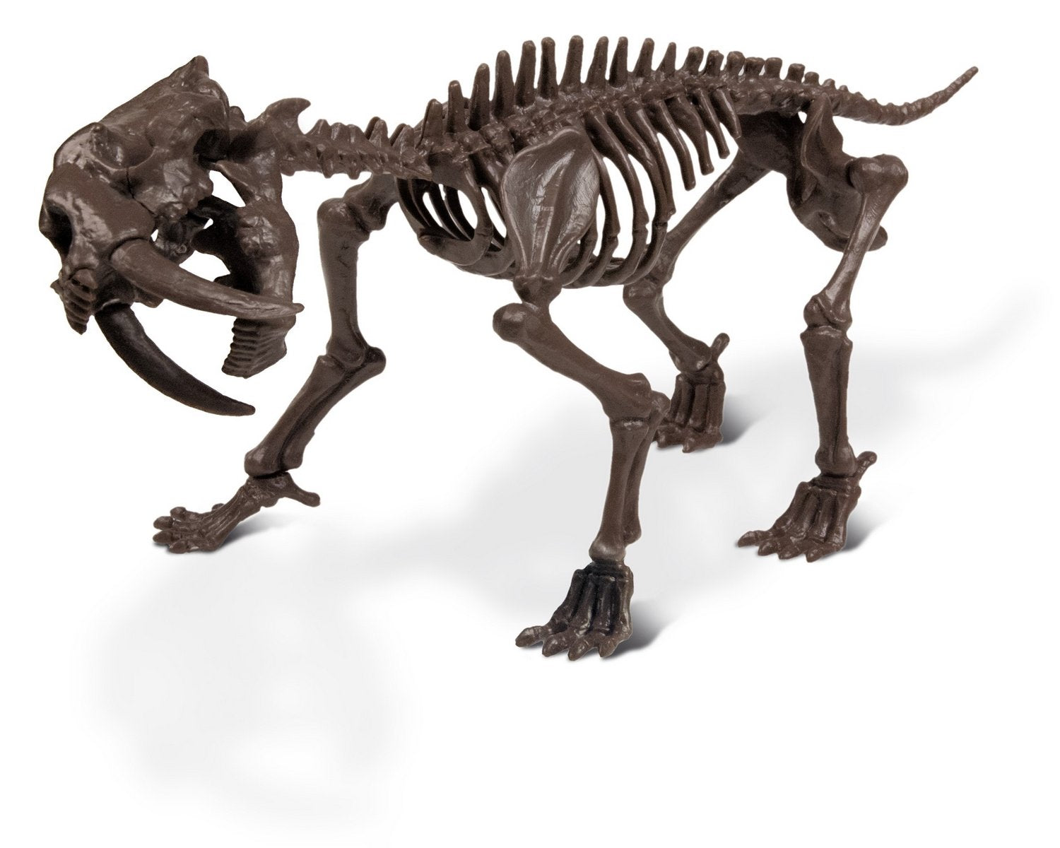 Dr. Steve Hunters Smilodon Skeleton IceAge Excavation Kit