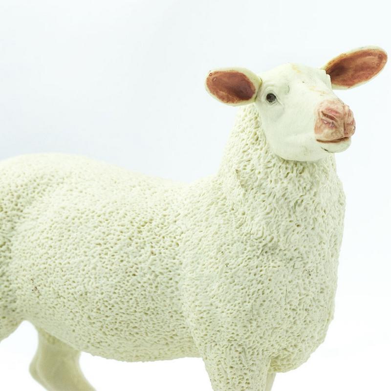 Safari Ltd Ewe