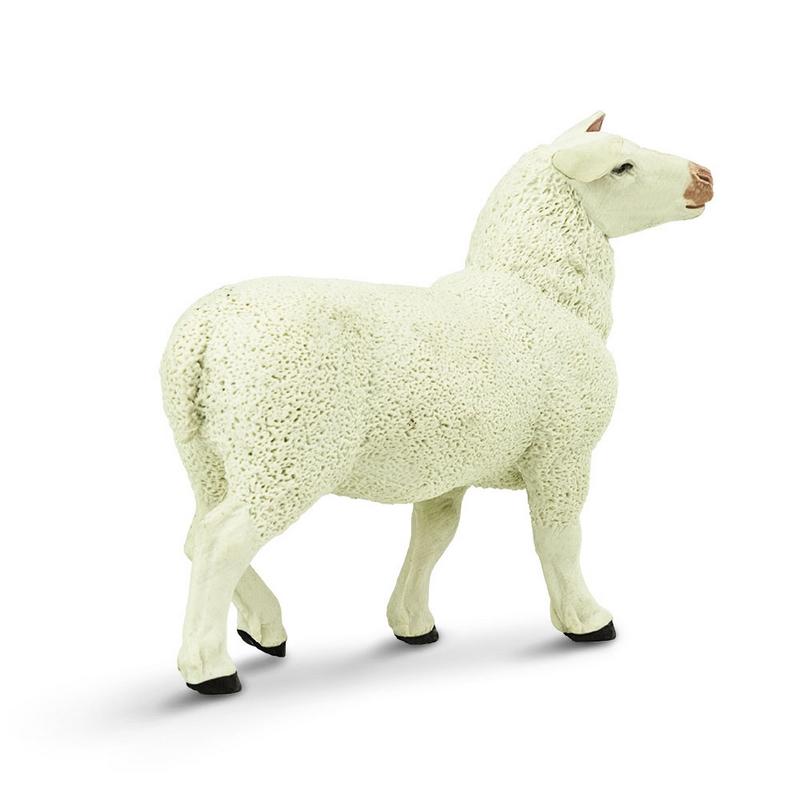 Safari Ltd Ewe