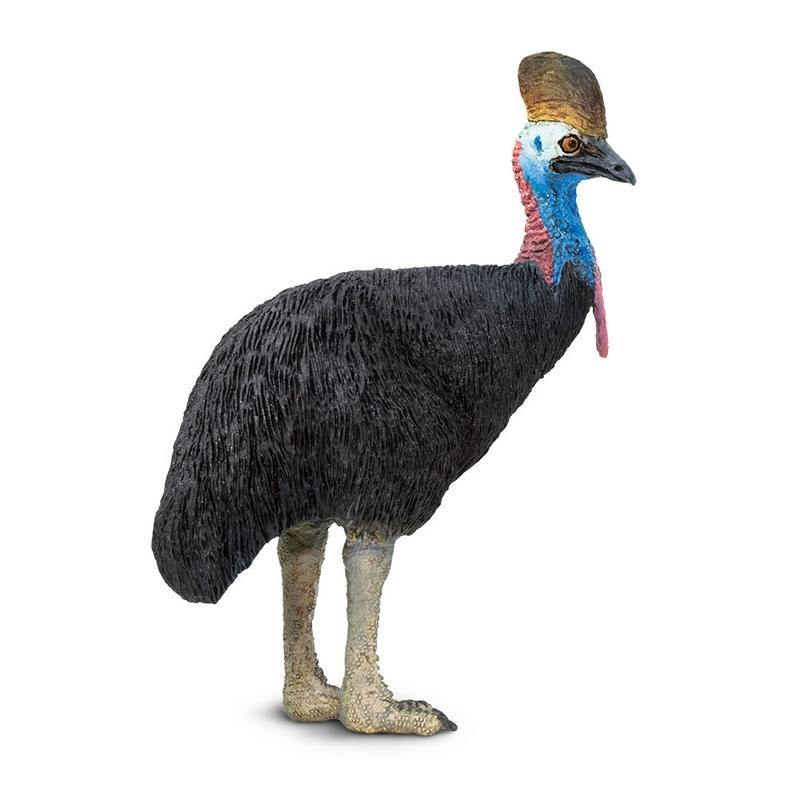 Safari Ltd Cassowary