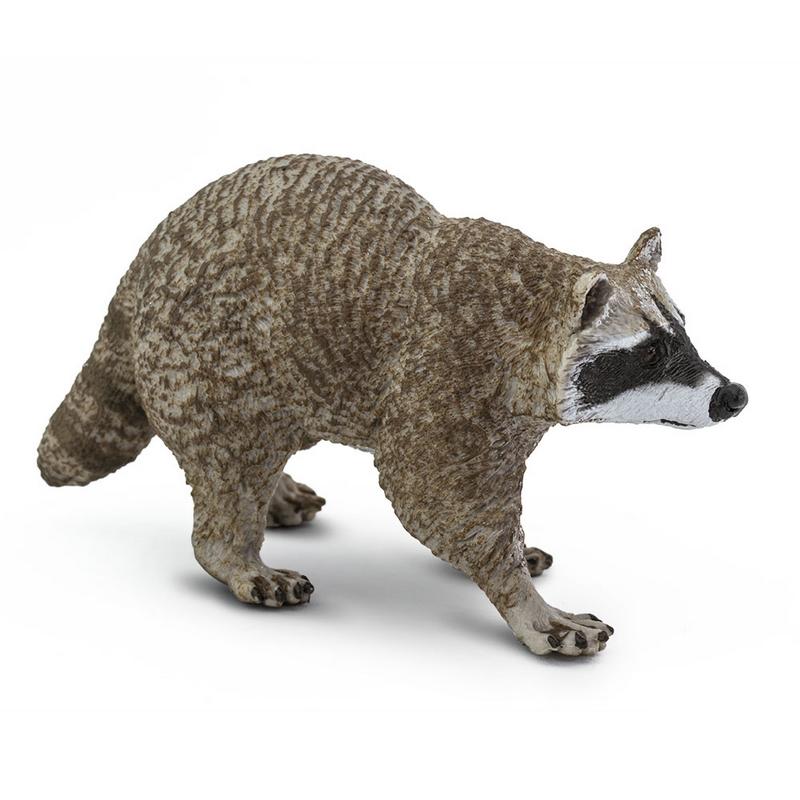 Safari Ltd Raccoon