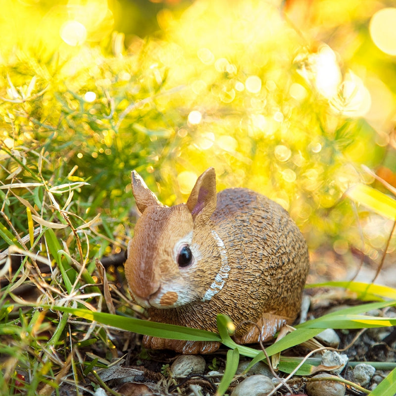 Safari Ltd Eastern Cottontail Rabbit Baby