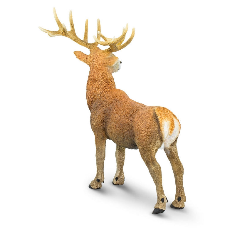 Safari Ltd Red Deer Stag