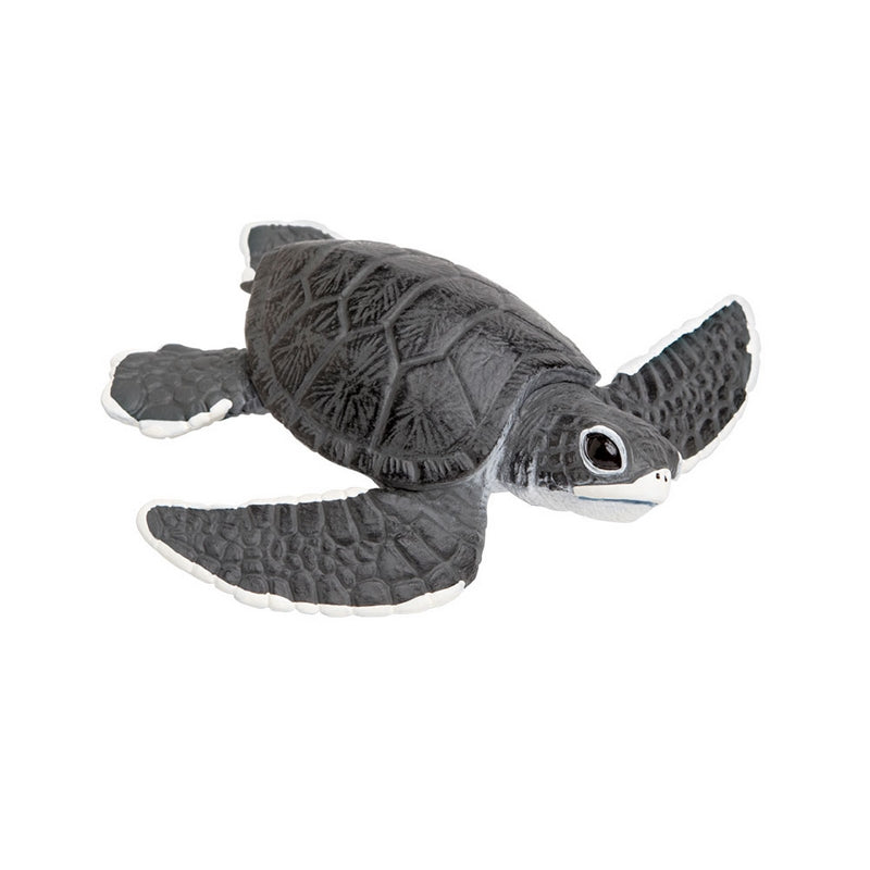 Safari Ltd Sea Turtle Baby