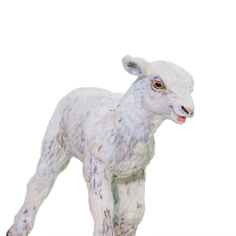 Safari Ltd Lamb