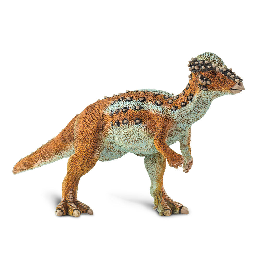 Safari Ltd Pachycephalosaurus