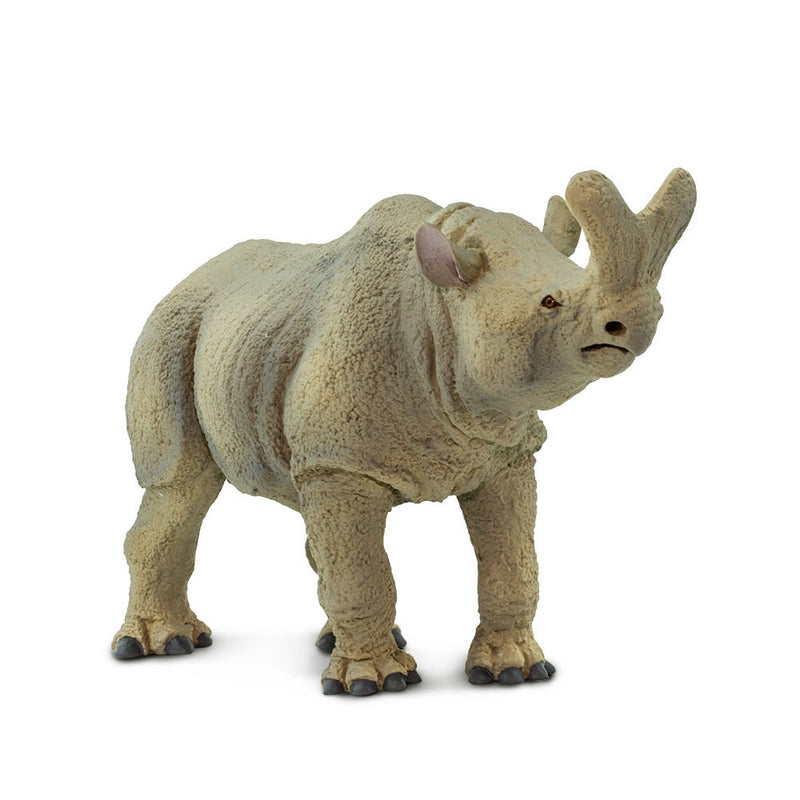 Safari Ltd Megacerops