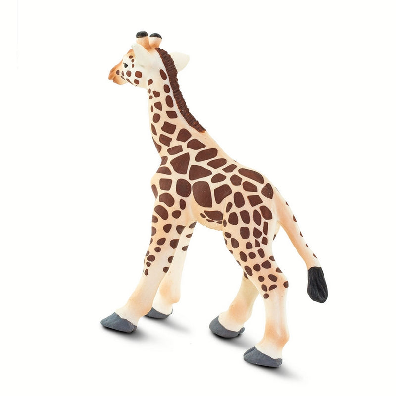 Safari Ltd Giraffe Baby