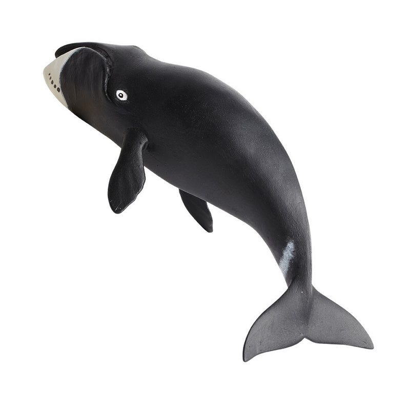 Safari Ltd Bowhead Whale