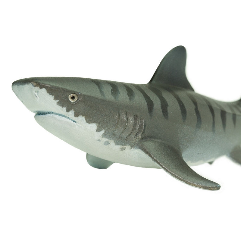 Safari Ltd Tiger Shark