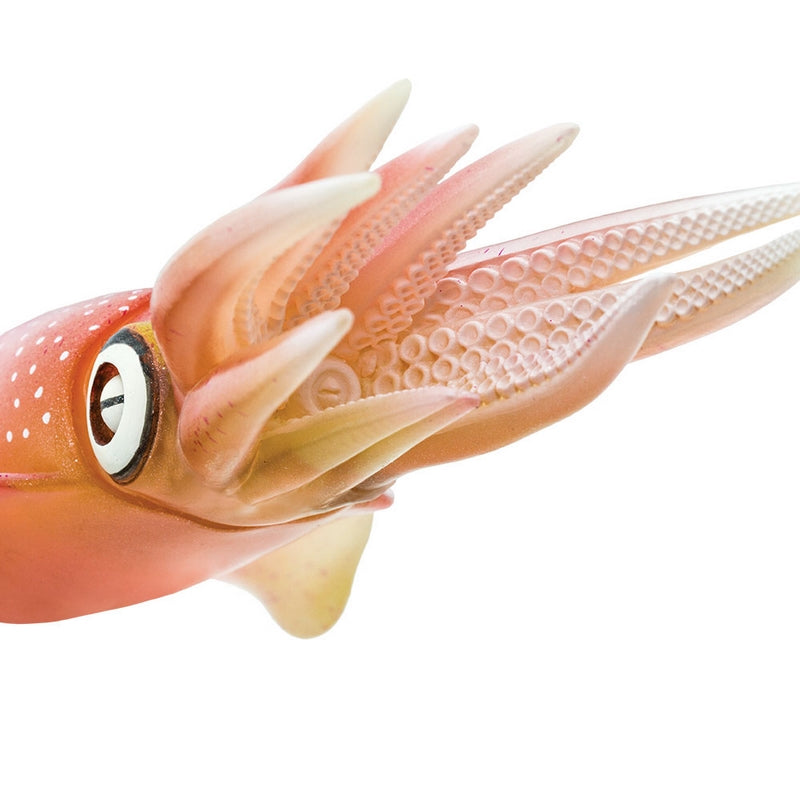 Safari Ltd Reef Squid