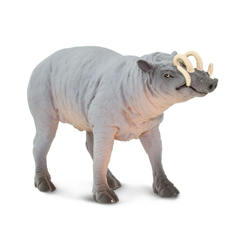 Safari Ltd Babirusa