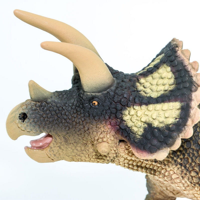 Safari Ltd Triceratops