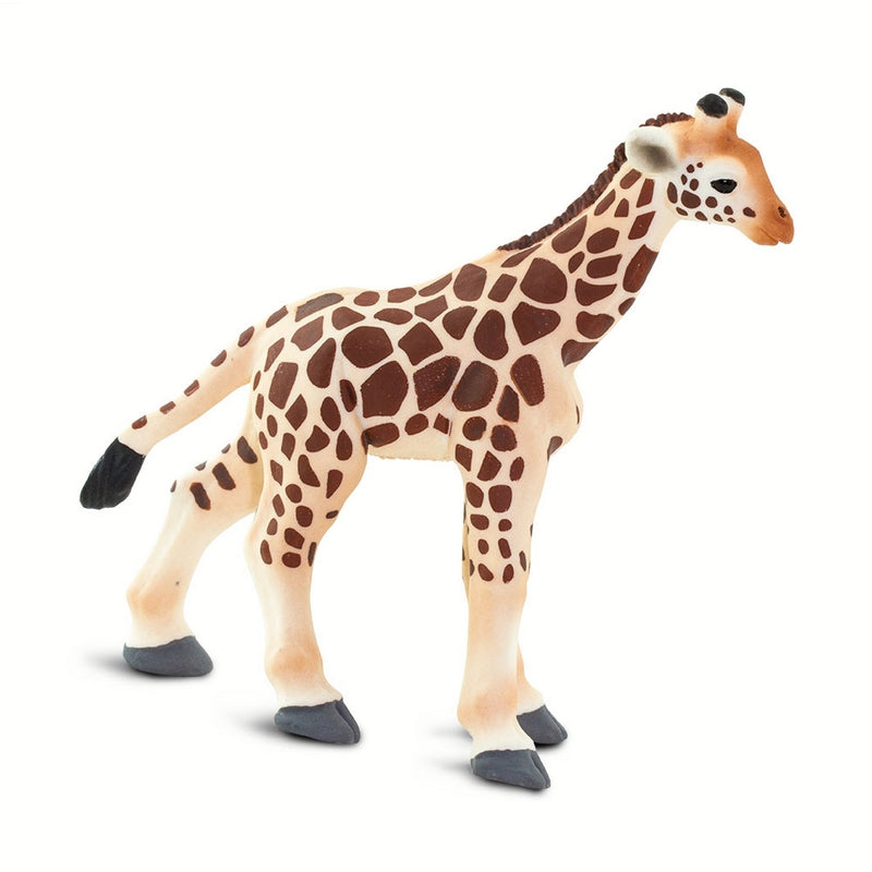 Safari Ltd Giraffe Baby