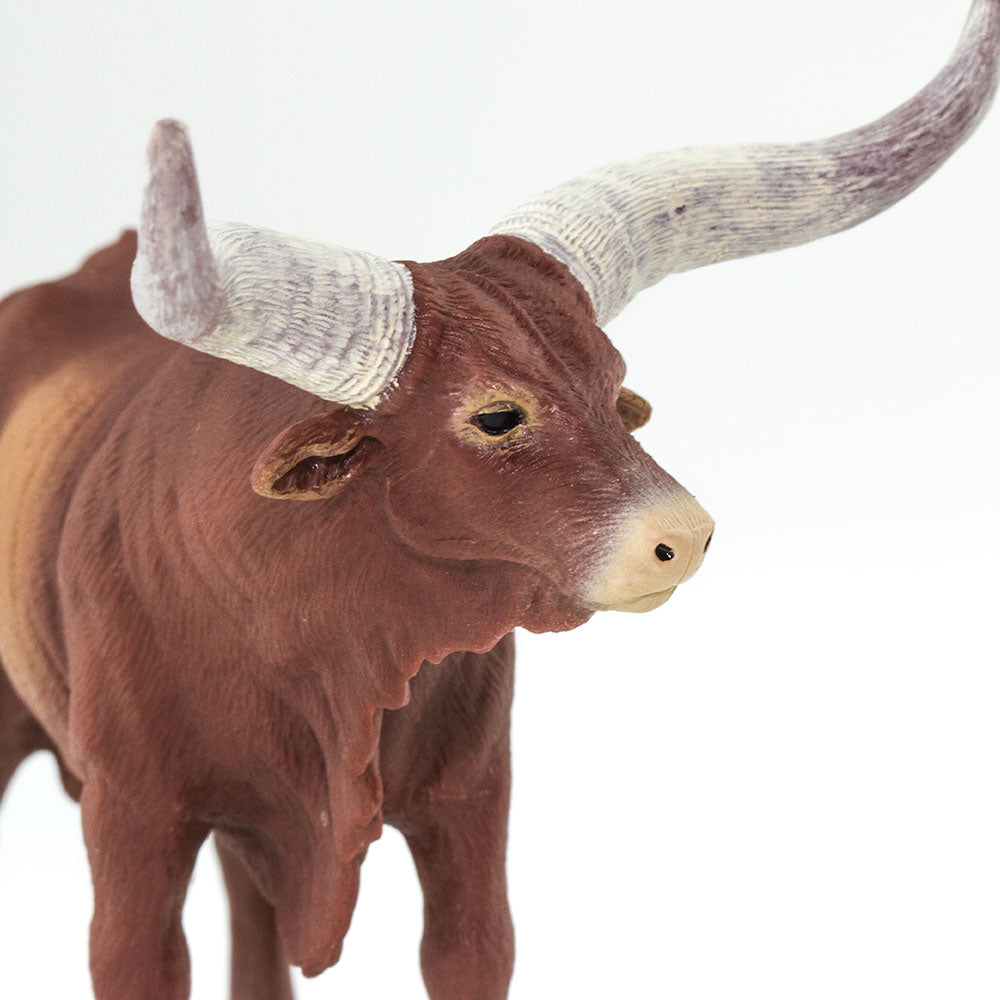 Safari Ltd Watusi Bull