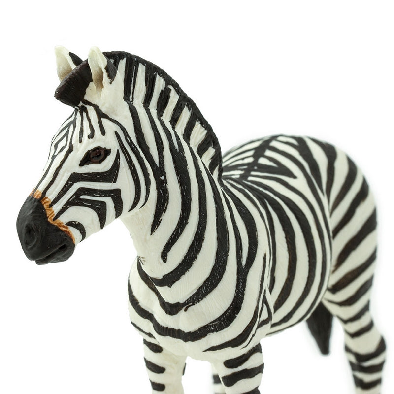 Safari Ltd Zebra