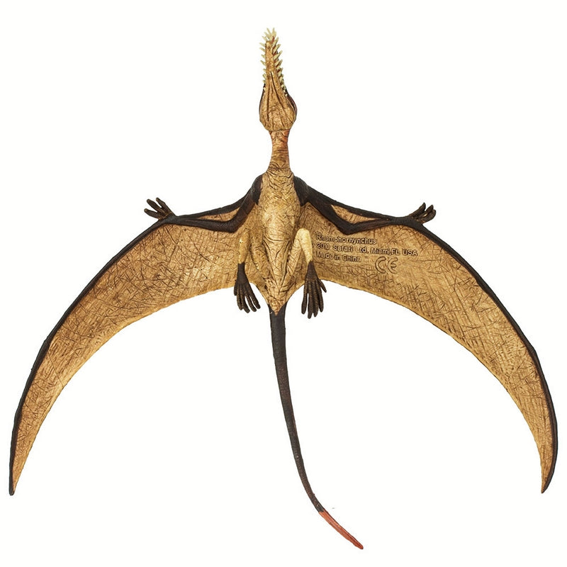 Safari Ltd Rhamphorhynchus