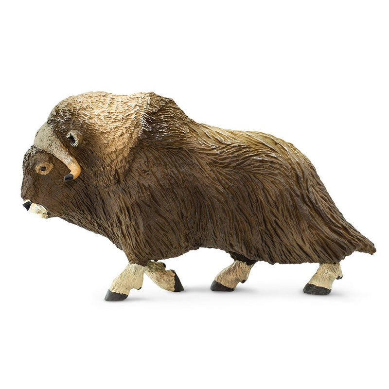 Safari Ltd Muskox